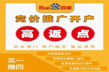竞价广告赚钱：百度平台案例分析